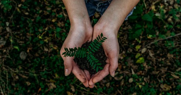 Be part of National Tree Day and make a difference