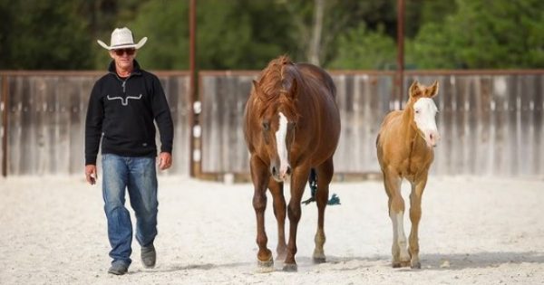 How Warwick Schiller built an empire around his legendary brand of horsemanship