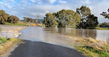 Major flood warning for Gundagai and moderate flood warning for Wagga