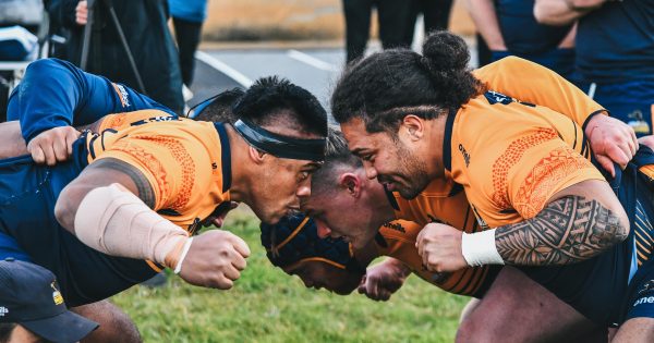 The Brumbies prepare to sell up to 49 per cent of the club to ensure its sustainability and remain competitive