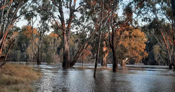 Minor flooding at Darlington Point, road closures around Narrandera