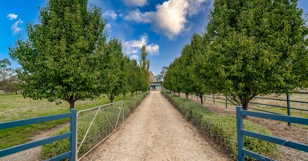 Nearly 20 acres minutes from Wagga's CBD and an unmissable business oppawtunity