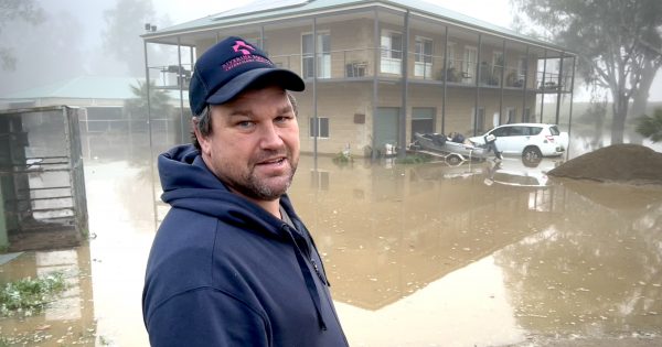 Colvin Racing floods as river reaches 8.74 metres at Wagga with more rain on the way