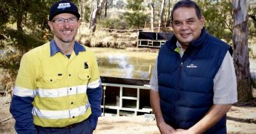 Flowerdale Lagoon gets an upgrade as work continues on Wiradjuri Trail