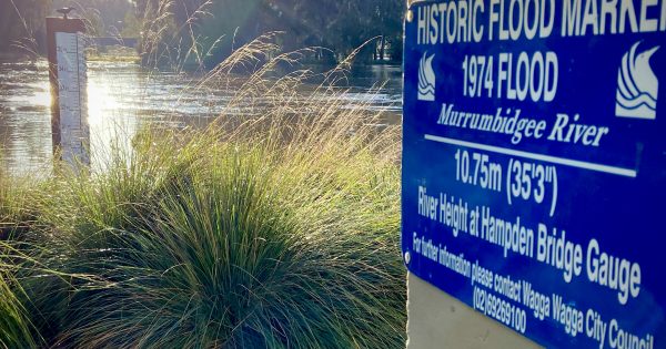 Roads begin to open as the river falls in Wagga