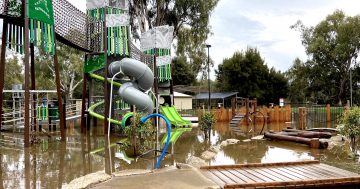 Wagga's playground emerges from the floodwaters but the forecast is wet