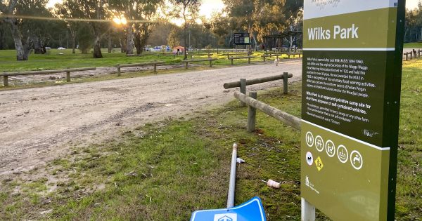 Push for better management of 'complex situation' at Wilks Park
