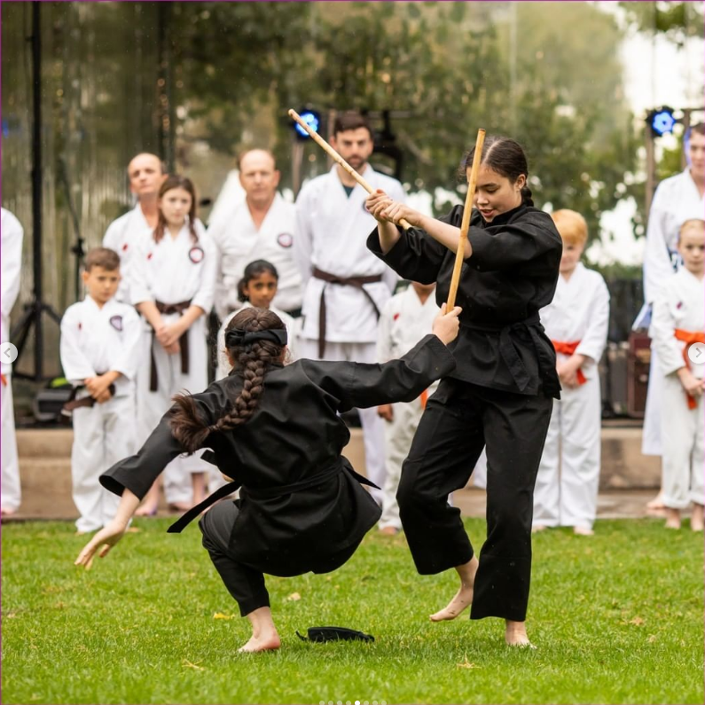 Martial artists performing