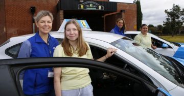 High school seniors hit the road for the provisional licence