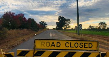Council calls out motorists ignoring road closures
