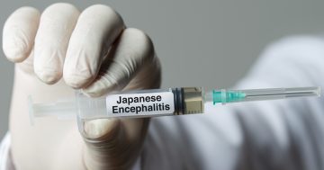 Japanese encephalitis vaccine available for eligible Murrumbidgee Local Health District residents