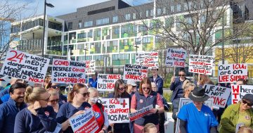 'I don't even get to go to the toilet!' Wagga nurses join the statewide strike over staffing ratios
