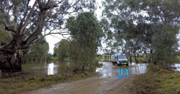 More wild weather on the way as a natural disaster is declared for parts of the Riverina