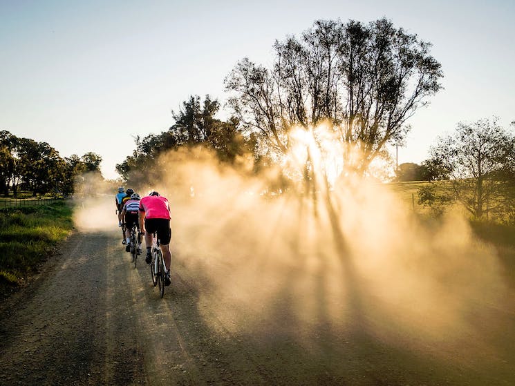 cyclists in dust