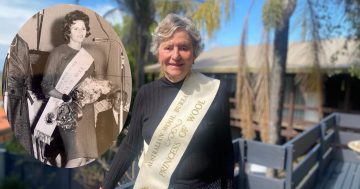 Griffith's Princess of Wool relives her past glory