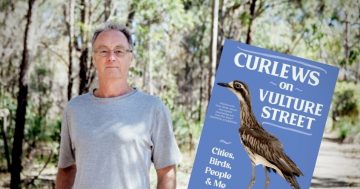 From 'bin chickens' to cockatoos, Darryl Jones says it's time for a closer look