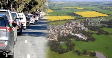 Massive crowds overwhelm the car parks at Henty as the field days return