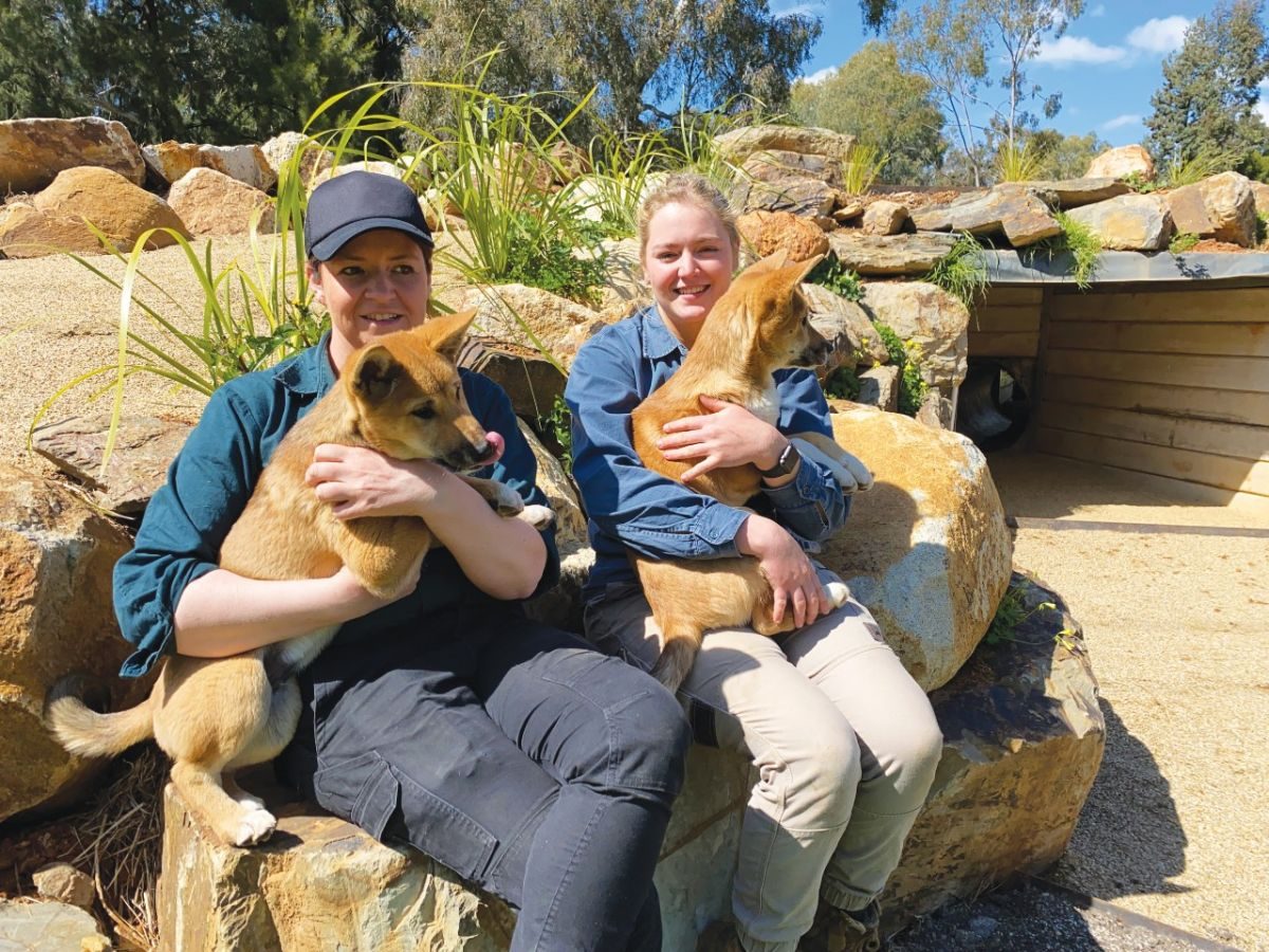 Zoo Curator Wendy McNamara and Zoo Keeper Brooke Caines with Zeke and Diego