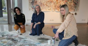 Applications for Wagga Art Gallery's Residency Program close early October