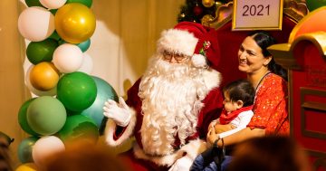 Yule be treated to a feast for the senses at Wagga RSL's community Christmas party