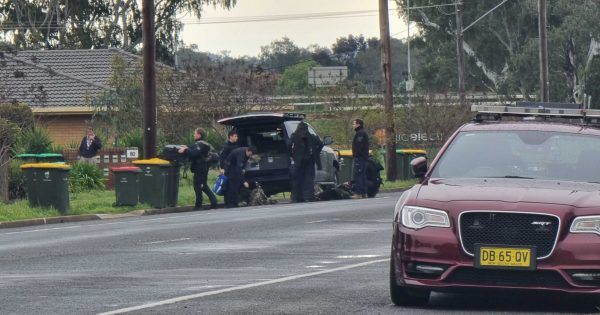 UPDATED: Police use taser to end 17-hour standoff with armed man in Travers Street