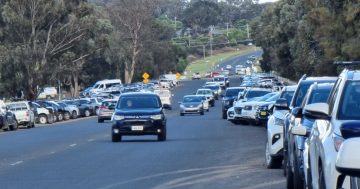 Parking mayhem at Jubilee Park raises safety concerns