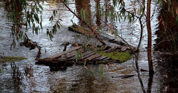 'Hay, Hell and Booligal' as flooding continues down the Murrumbidgee and Lower Lachlan