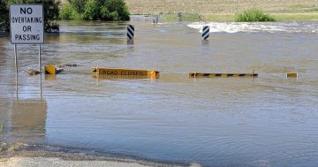 'It’s water – you saw it last month': Wagga SES tells rubberneckers to stay away as river nears peak