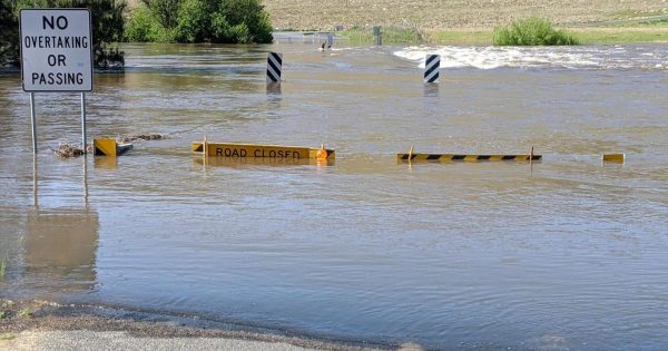 'It’s water – you saw it last month': Wagga SES tells rubberneckers to stay away as river nears peak