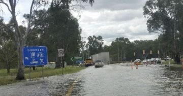 'The rivers aren't going to respond how you think they are': Narrandera waits for flood peak