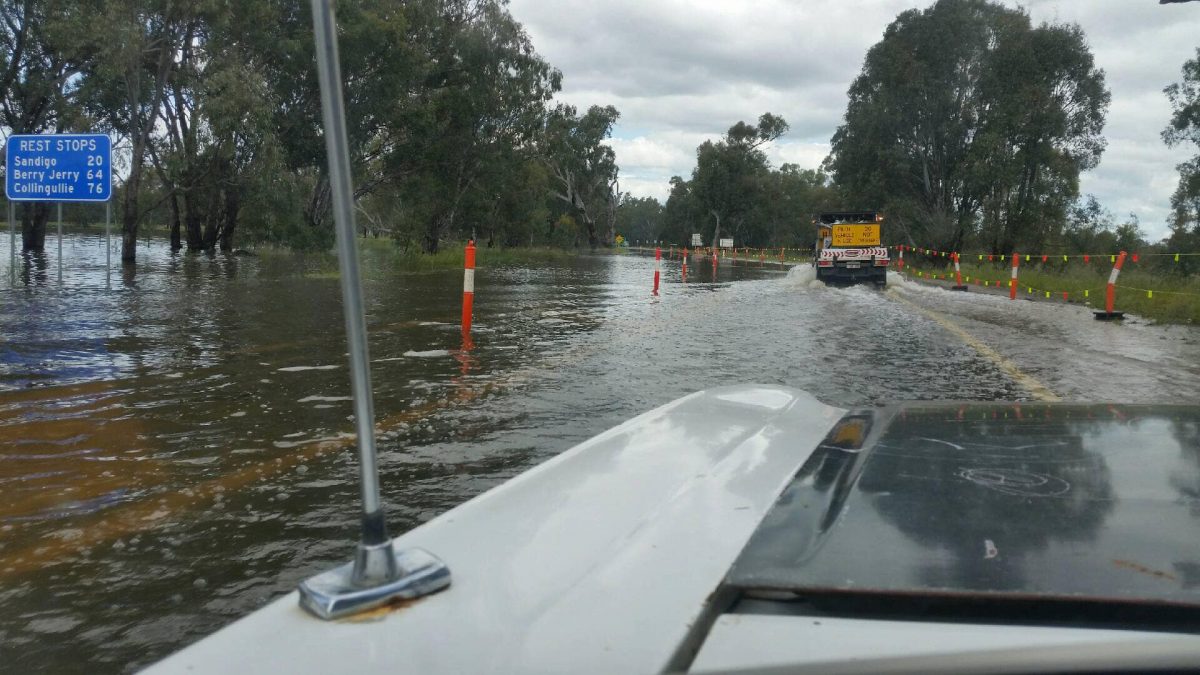 Narrandera flood