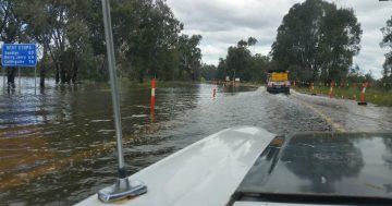 Narrandera braces for major flooding with a possible peak of 8.2m