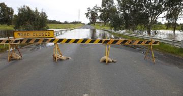 Roads closed but only minor flooding as the next wave heads for Wagga