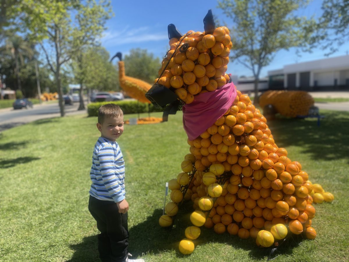 Child with dog sculpture made of oranges