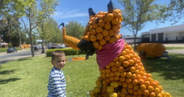 Griffith news wrap: citrus sculpture callout, tank mural input sought and new carparks named