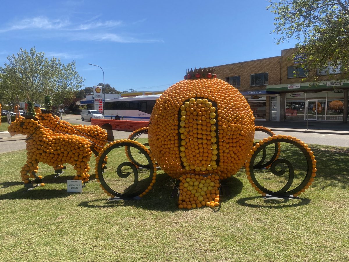 horses and cart