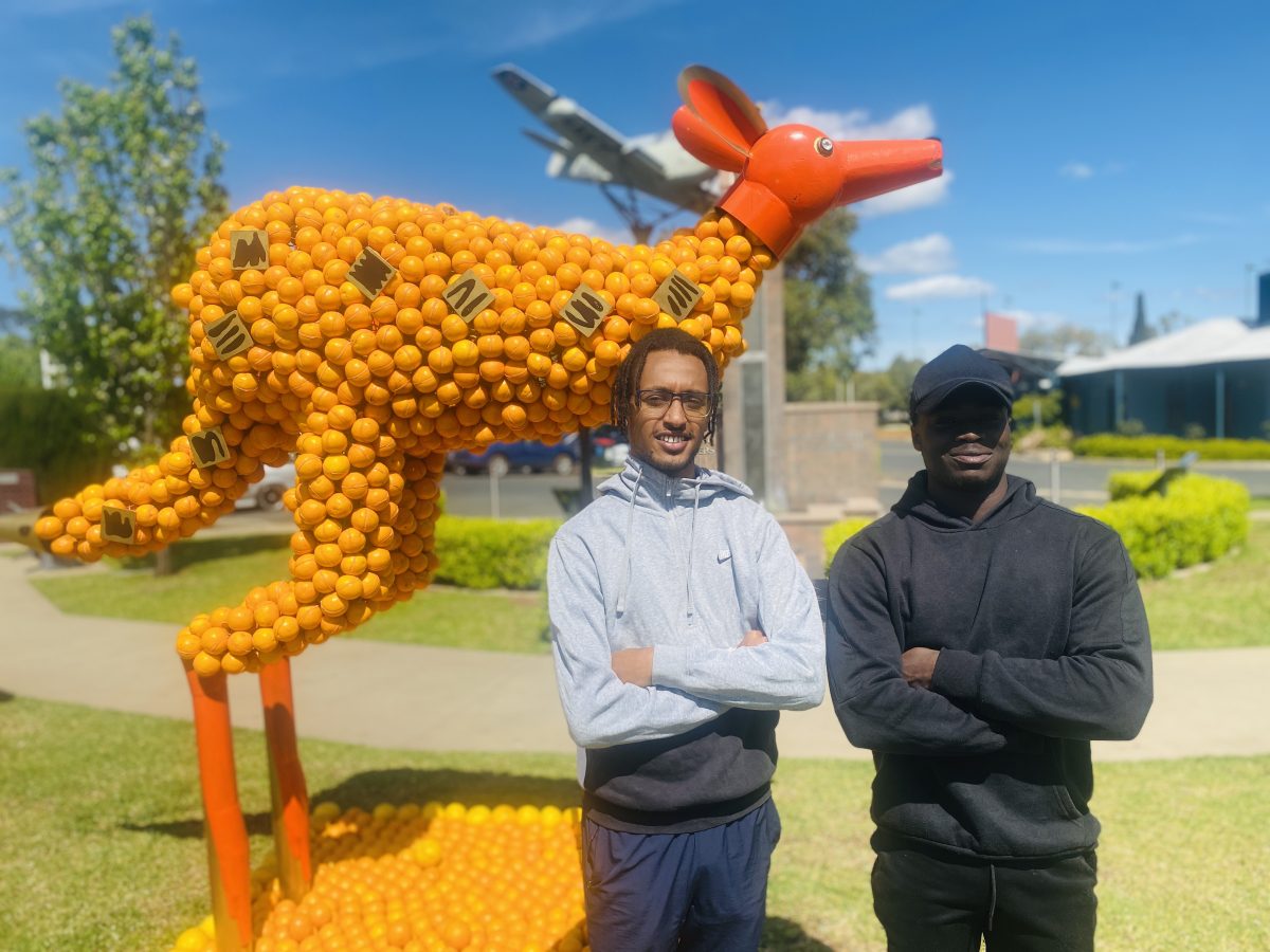 Two men in front of citrus sculpture in Griffith 