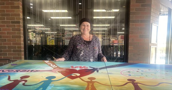 Coleambally artist gets locals to contribute to symbolic Griffith Community Centre painting