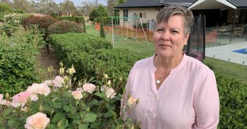 Stop and smell Brucedale's roses for fundraiser for rare cancer