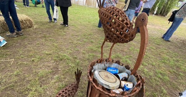 Brolgas inspire the winning 'Bin Chooks' at Farm Art Sculpture Awards