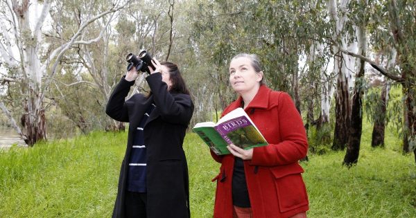 How to celebrate Australia's Bird Week in Wagga