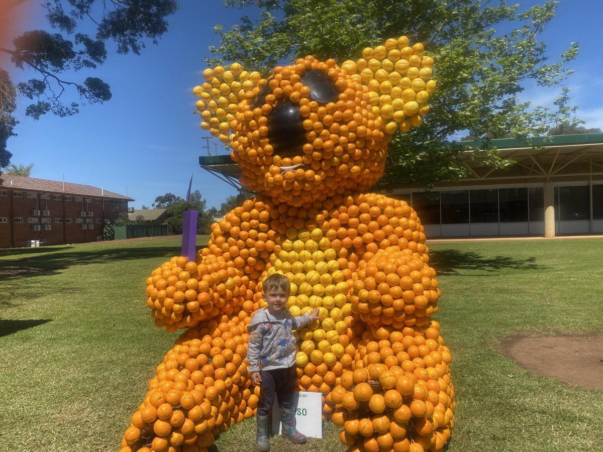 child at citrus sculpture 