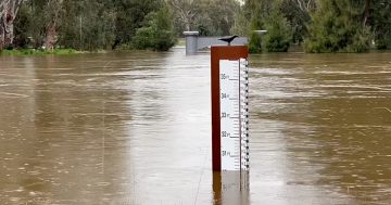 Wagga's flood peak has passed but roads remain dangerous