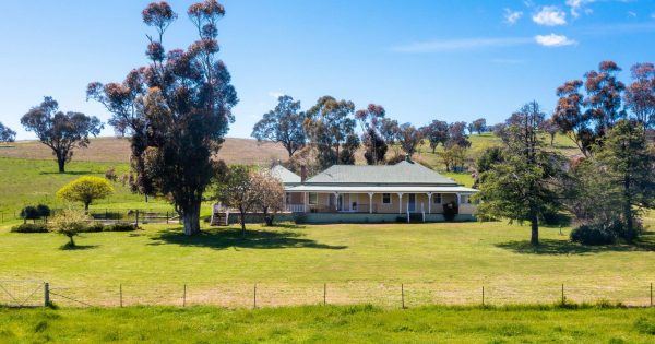 'Balanced' Wagga property market levels the playing field for buyers and sellers