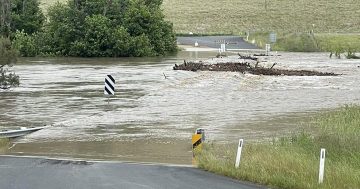 Evacuations as flash flooding sweeps through the Riverina and Southern Tablelands