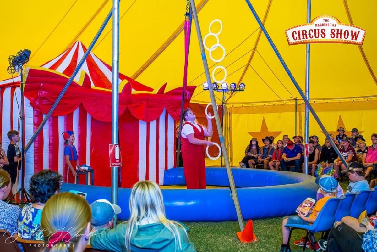 Audiences watch performance at The Harrington Circus Show