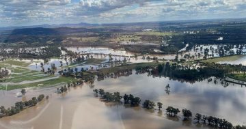 North Wagga residents to return as the river levels fall at Wagga