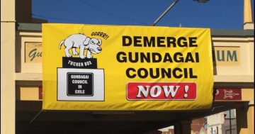 Cootamundra-Gundagai's demerger creeps closer as other councils enter the fray