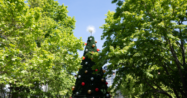 What's the weather going to be like on Christmas Day?