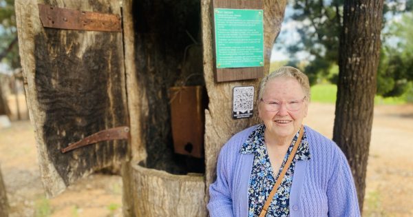 Granddaughter rekindles history of 19th century meat smoker at Pioneer Park Museum